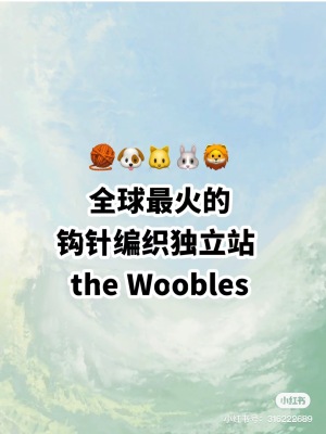 封面shopify-an-li-fen-xiang-quan-qiu-zui-huo-de-gou-zhen-bian-zhi-du-li-zhan---the-woobles